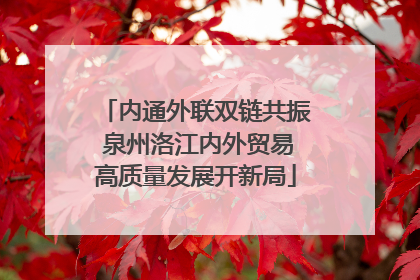 内通外联双链共振 泉州洛江内外贸易高质量发展开新局