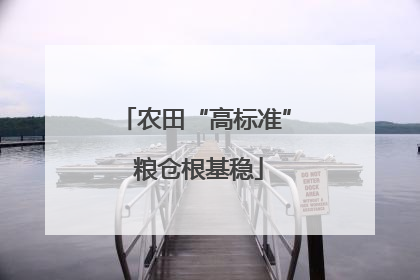 农田“高标准” 粮仓根基稳