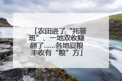 农田进了“托管班”、一地双收赚翻了……各地夏粮丰收有“粮”方