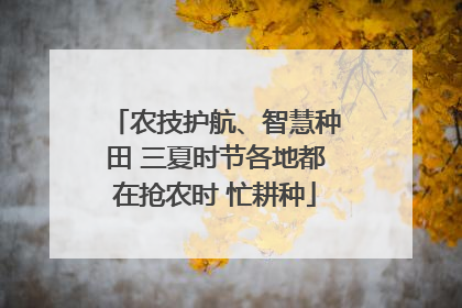 农技护航、智慧种田 三夏时节各地都在抢农时 忙耕种