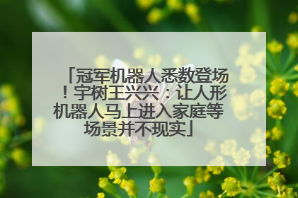 冠军机器人悉数登场！宇树王兴兴：让人形机器人马上进入家庭等场景并不现实