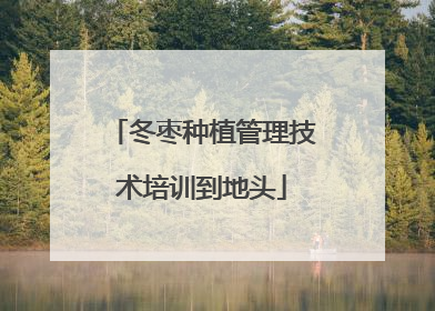 冬枣种植管理技术培训到地头