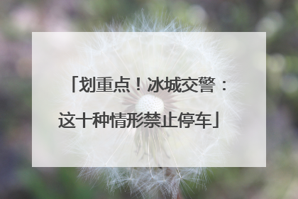 划重点！冰城交警：这十种情形禁止停车
