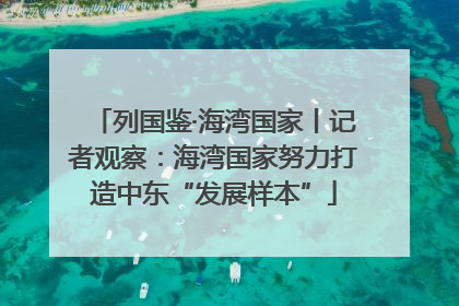 列国鉴·海湾国家丨记者观察：海湾国家努力打造中东“发展样本”
