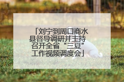 刘宁到周口商水县督导调研并主持召开全省“三夏”工作视频调度会