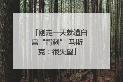 刚走一天就遭白宫“背刺” 马斯克：很失望