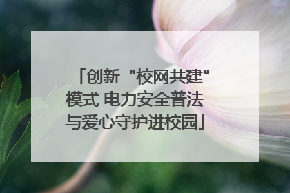创新“校网共建”模式 电力安全普法与爱心守护进校园