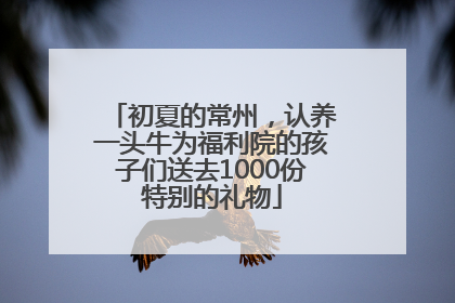 初夏的常州，认养一头牛为福利院的孩子们送去1000份特别的礼物