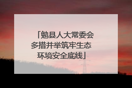 勉县人大常委会多措并举筑牢生态环境安全底线