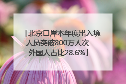 北京口岸本年度出入境人员突破800万人次 外国人占比28.6%