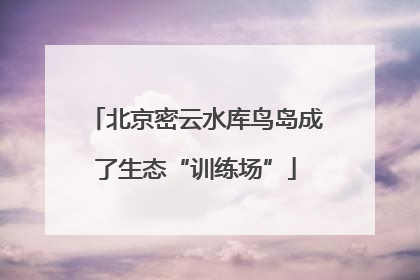 北京密云水库鸟岛成了生态“训练场”