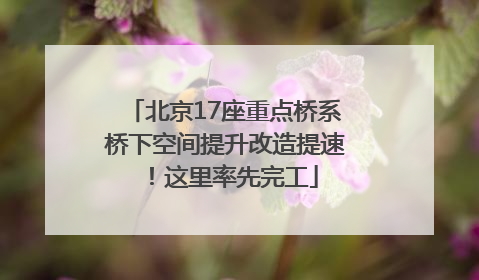 北京17座重点桥系桥下空间提升改造提速！这里率先完工