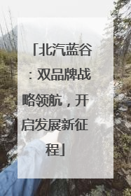 北汽蓝谷：双品牌战略领航，开启发展新征程