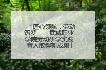 匠心领航，劳动筑梦——武威职业学院劳动研学实践育人取得新成果