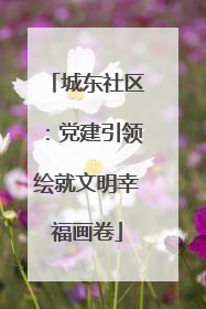 城东社区：党建引领绘就文明幸福画卷