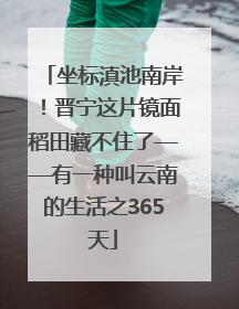 坐标滇池南岸！晋宁这片镜面稻田藏不住了——有一种叫云南的生活之365天