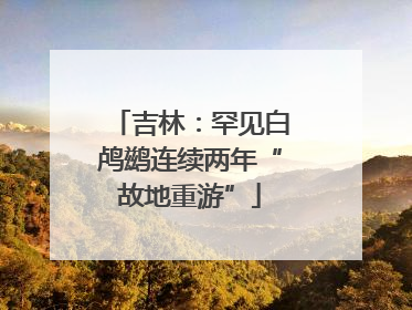吉林：罕见白鸬鹚连续两年“故地重游”