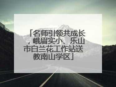 名师引领共成长，峨眉实小、乐山市白兰花工作站送教南山学区