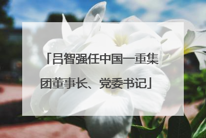 吕智强任中国一重集团董事长、党委书记