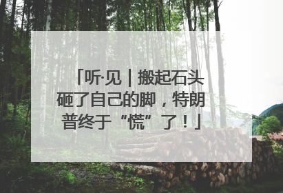 听·见｜搬起石头砸了自己的脚，特朗普终于“慌”了！