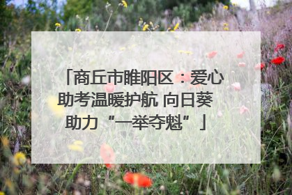商丘市睢阳区：爱心助考温暖护航 向日葵助力“一举夺魁”