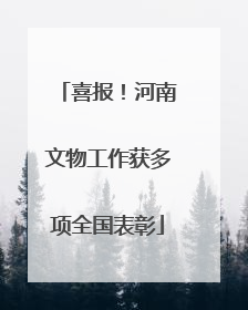 喜报！河南文物工作获多项全国表彰