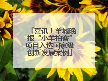 喜讯！羊城晚报“小羊拍客”项目入选国家级创新发展案例
