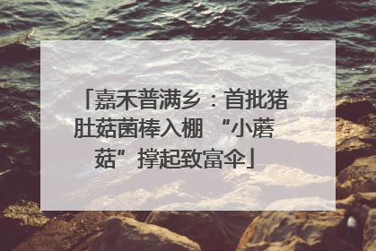嘉禾普满乡：首批猪肚菇菌棒入棚 “小蘑菇”撑起致富伞