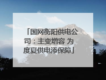 国网衡阳供电公司：主变增容 为度夏供电添保障