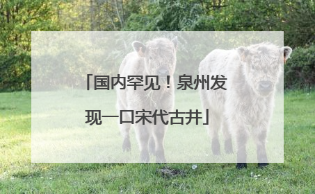 国内罕见！泉州发现一口宋代古井