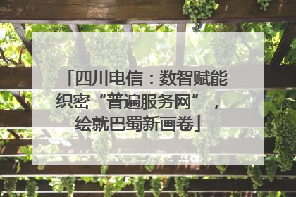 四川电信：数智赋能织密“普遍服务网”，绘就巴蜀新画卷