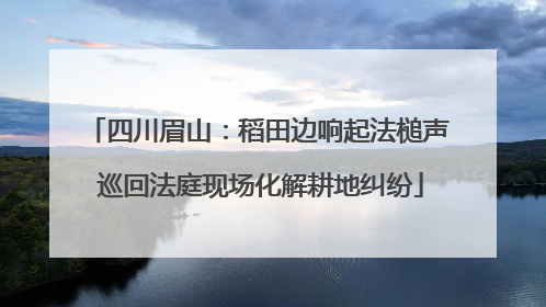 四川眉山：稻田边响起法槌声 巡回法庭现场化解耕地纠纷