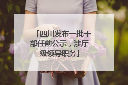 四川发布一批干部任前公示，涉厅级领导职务