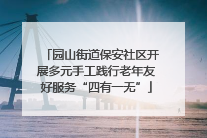 园山街道保安社区开展多元手工践行老年友好服务“四有一无”