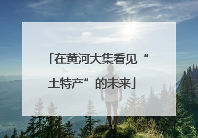 在黄河大集看见“土特产”的未来