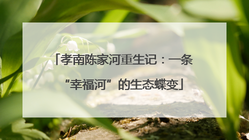 孝南陈家河重生记：一条“幸福河”的生态蝶变
