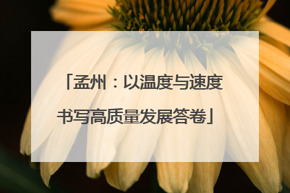 孟州：以温度与速度书写高质量发展答卷