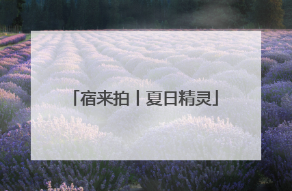 宿来拍丨夏日精灵