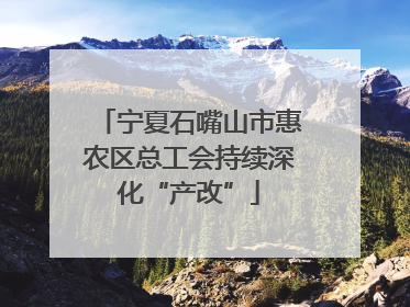 宁夏石嘴山市惠农区总工会持续深化“产改”