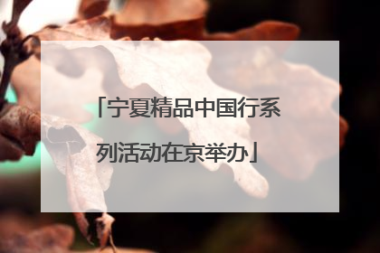宁夏精品中国行系列活动在京举办