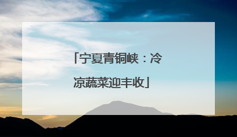 宁夏青铜峡：冷凉蔬菜迎丰收
