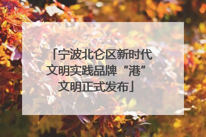 宁波北仑区新时代文明实践品牌“港”文明正式发布