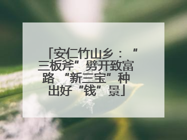 安仁竹山乡：“三板斧”劈开致富路 “新三宝”种出好“钱”景