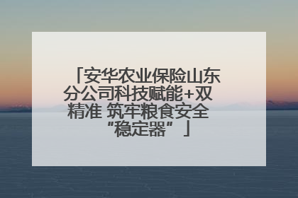 安华农业保险山东分公司科技赋能+双精准 筑牢粮食安全“稳定器”