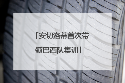 安切洛蒂首次带领巴西队集训