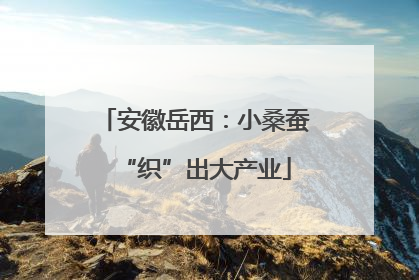 安徽岳西：小桑蚕“织”出大产业