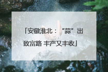 安徽淮北：“蒜”出致富路 丰产又丰收