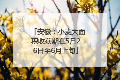 安徽：小麦大面积收获期在5月26日至6月上旬
