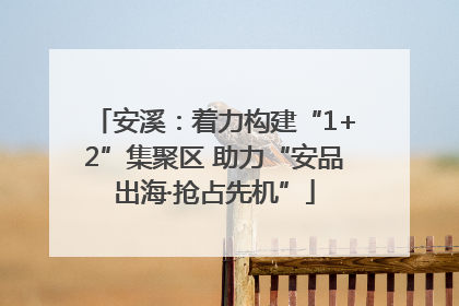安溪：着力构建“1+2”集聚区 助力“安品出海·抢占先机”