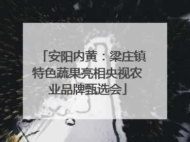 安阳内黄：梁庄镇特色蔬果亮相央视农业品牌甄选会
